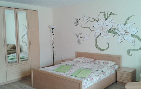 Полулюкс 2-местный, фото 2