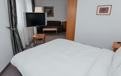 Полулюкс 2-местный, фото 2