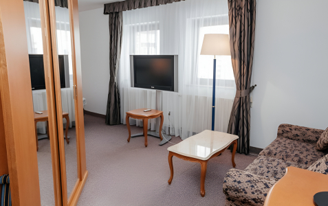 Полулюкс 2-местный, фото 3