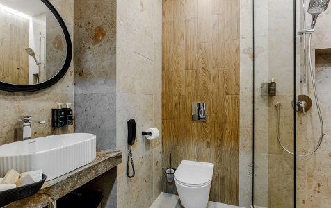 Стандарт+ Стандарт трехместный , фото 6