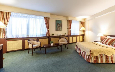 Полулюкс Полулюкс 2-местный, фото 3