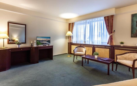 Полулюкс Полулюкс 2-местный, фото 5