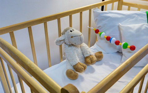 Семейный Люкс, фото 2