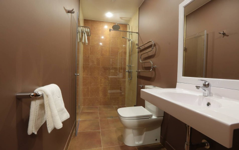 Стандартный Пионерский, фото 2