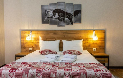 Стандарт 2-местный 1-комнатный, фото 2