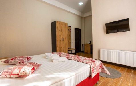 Стандарт 2-местный 1-комнатный, фото 5