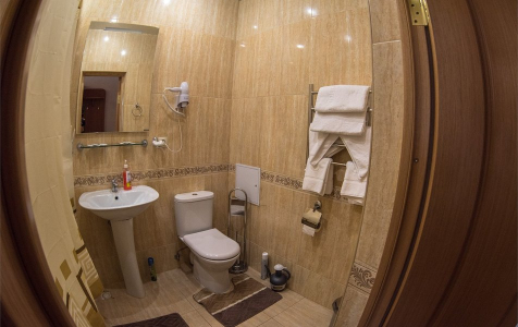 Люкс 202 с камином, фото 4