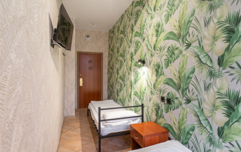 Бюджетный 2-местный TWIN, фото 2