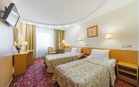 Стандарт Плюс 2-местный, TWIN, фото 1