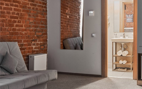 Делюкс 4-местный TWIN+диван, фото 2