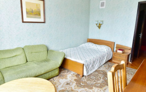 Стандартный 1-местный SGL, фото 1