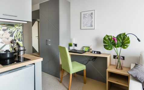 Студия 2х местный с диваном, фото 3