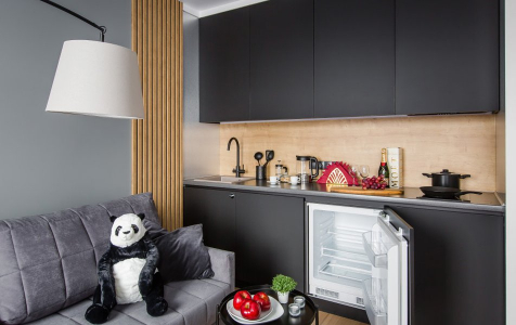 Улучшенный 2х местный лофт448, фото 2