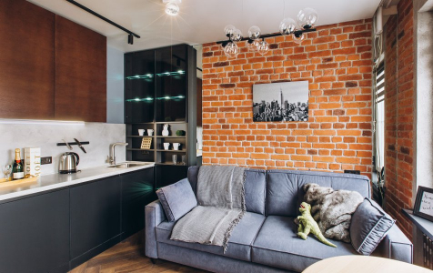 Улучшенный 2-местный  loft 449, фото 3