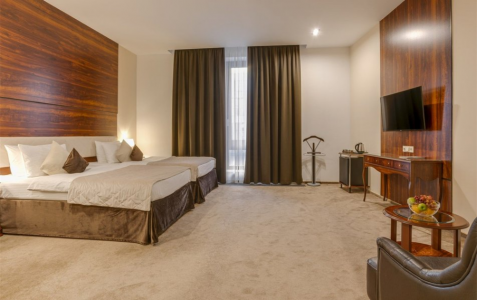 Люкс 2-местный с видом на сад, фото 1