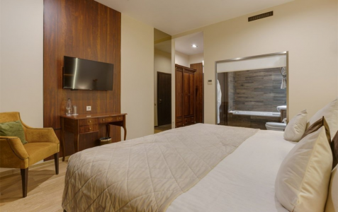 Делюкс 2-местный вид на сад, фото 2