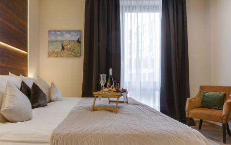 Делюкс 2-местный вид на сад, фото 3