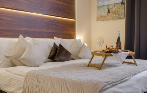 Делюкс 2-местный вид на сад, фото 1