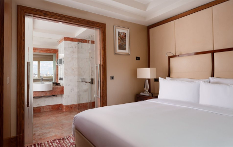 Люкс 2-местный Москва, фото 2