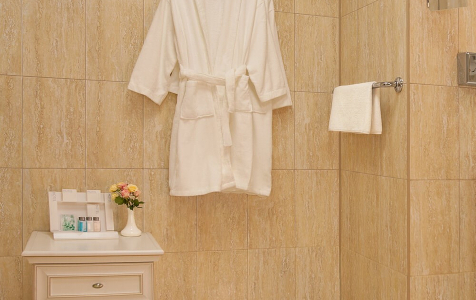 Люкс 2-местный Консульский, фото 6