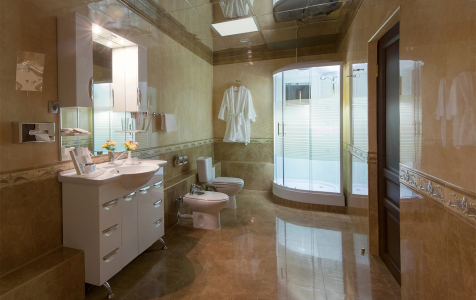 Президентский люкс 2-местный, фото 8