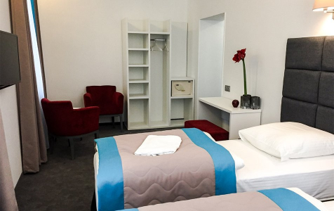 Делюкс Делюкс Twin, фото 2