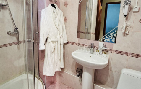 Полулюкс 2 комнатный 2 местный TWIN, фото 6