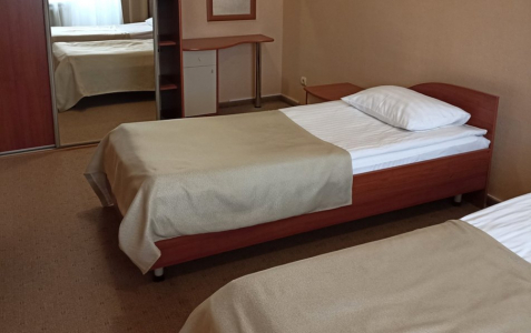 Полулюкс 2 комнатный 2 местный TWIN, фото 3