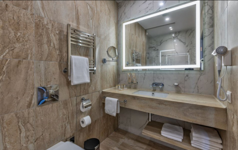 Люкс 2-местный DBL, фото 5