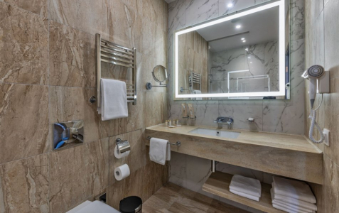 Стандарт 2-местный TWIN, фото 3