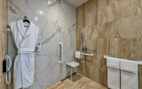 Номер для людей с ограниченными возможностями 2-местный, фото 5