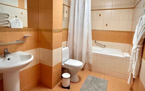 Люкс Люкс 2-комнатный, фото 5