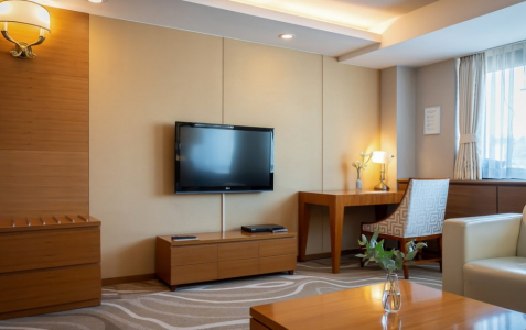 Люкс 2-местный Делюкс  DBL, фото 3