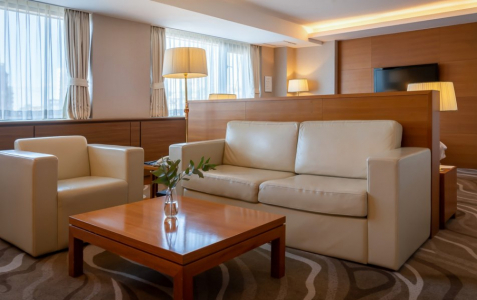 Люкс 2-местный Делюкс  DBL, фото 2