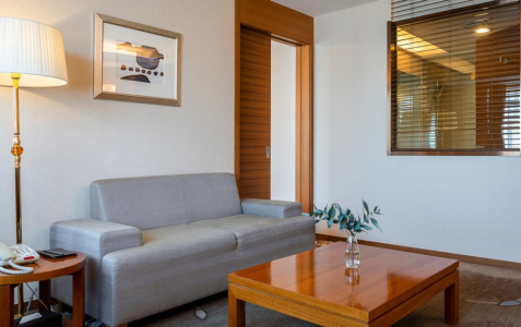 Люкс 2-местный Джуниор DBL, фото 2