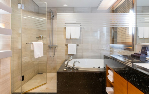 Люкс 2-местный Королевский, фото 7