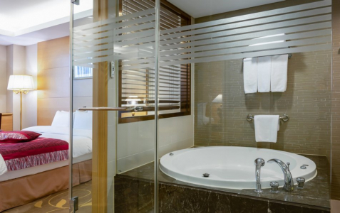 Люкс 2-местный Президенский, фото 4