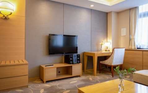 Люкс 2-местный Президенский, фото 3