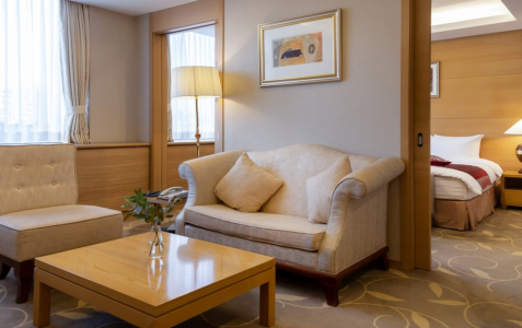 Люкс 2-местный Президенский, фото 2