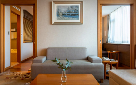 Люкс 2-местный Премьер, фото 4