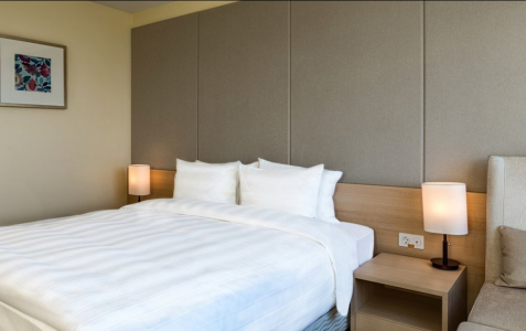 Премьер 2 местный DBL с Видом , фото 2