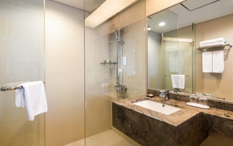 Делюкс 2-местный TWIN, фото 3