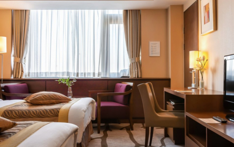 Делюкс 2-местный TWIN, фото 2