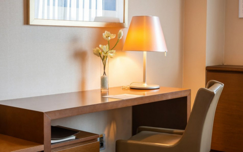 Делюкс 2-местный TWIN c видом, фото 2