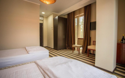 Делюкс 2-местный 1-комнатный, фото 2