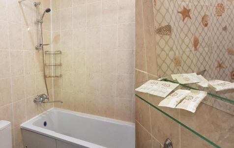 Эконом 2-местный 1-комнатный стандарт с видом на аллею с балконом корпус В, фото 2