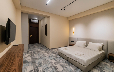 Стандартный 2-местный 1-комнатный без доп. места в корпусе, фото 3