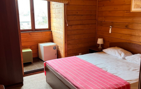 Стандарт 2-местный 1-комнатный Дабл с общим балконом, фото 2