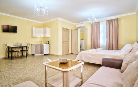 Люкс 2-местный 1 ком натный люкс с кухней, фото 2