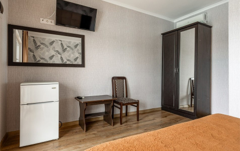 Стандарт 2-местный 1-комнатный стандарт DBL, фото 3